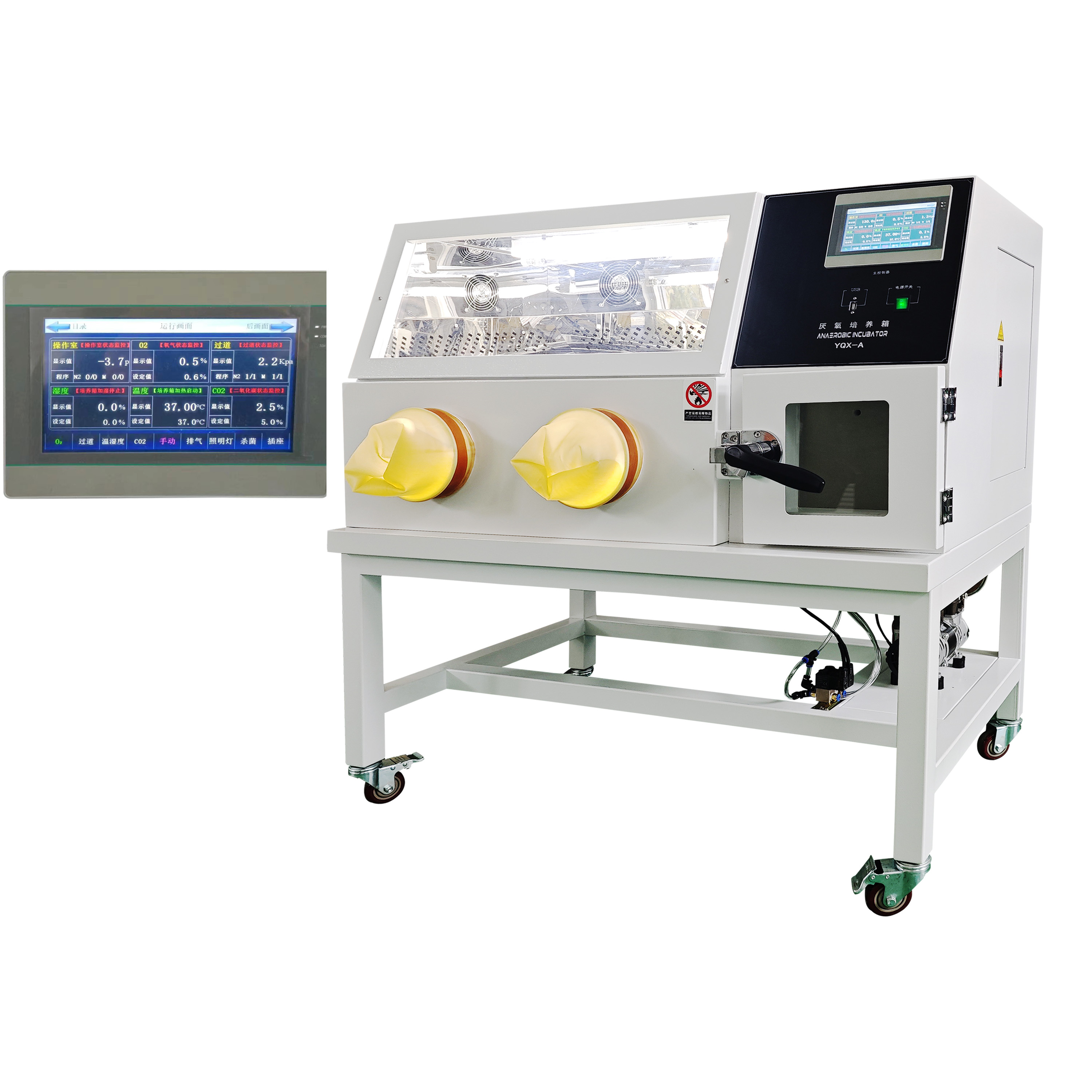 全自動(dòng)厭氧培養(yǎng)箱YQX-A 氣體自動(dòng)置換